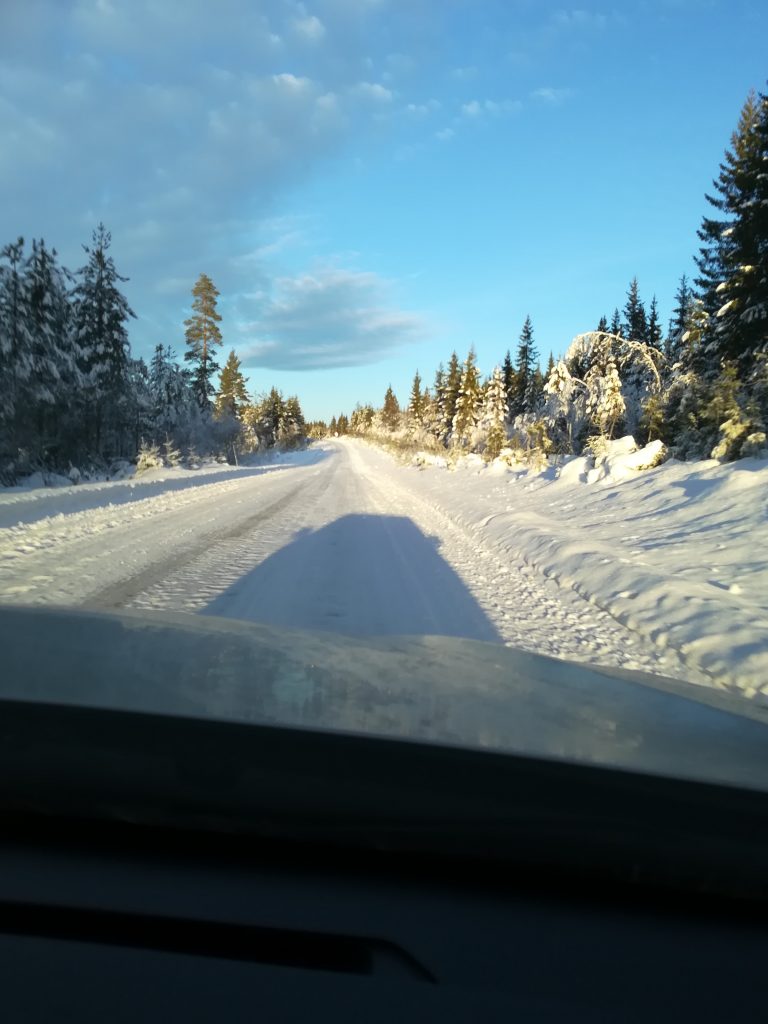Viljestyrke er den sikreste veien til et bedre liv