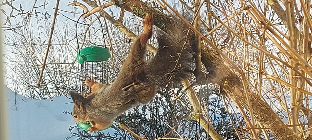 Kan du kjenne deg igjen?