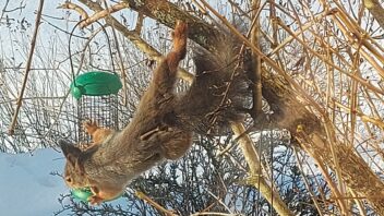 Kan du kjenne deg igjen?